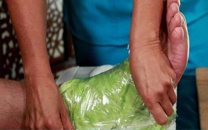 cabbage leaf compress for osteoarthritis